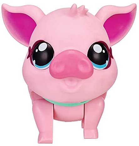 Carino Kawaii Pig Elenco delle cose che mi piacciono gli amanti della  musica Felpa : : Moda