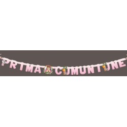 Festone Prima Comunione Rosa 250 x 18 cm 1 pz, 5IT29491