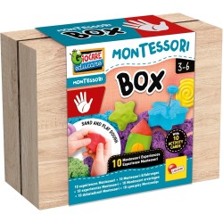 Lisciani Giochi - Montessori Box Touch, 105441