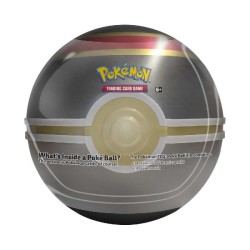 PokÃ©mon | Scarlatto &amp; Violetto | Pokemon Best of 2021 Poke Ball Tin assortito Ita, 1 pezzo, PK60586-I