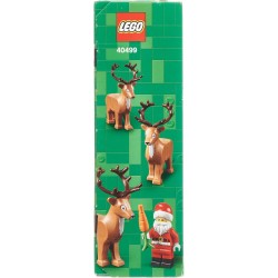 LEGO - Slitta di Babbo Natale Giocattolo, da 9 Anni in su con Minifigure, Renne, Chitarra, Orsacchiotto e Sci, Idea Regalo Natal