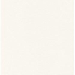 Tovagliolo Bianco 40 X 40  Pz.50