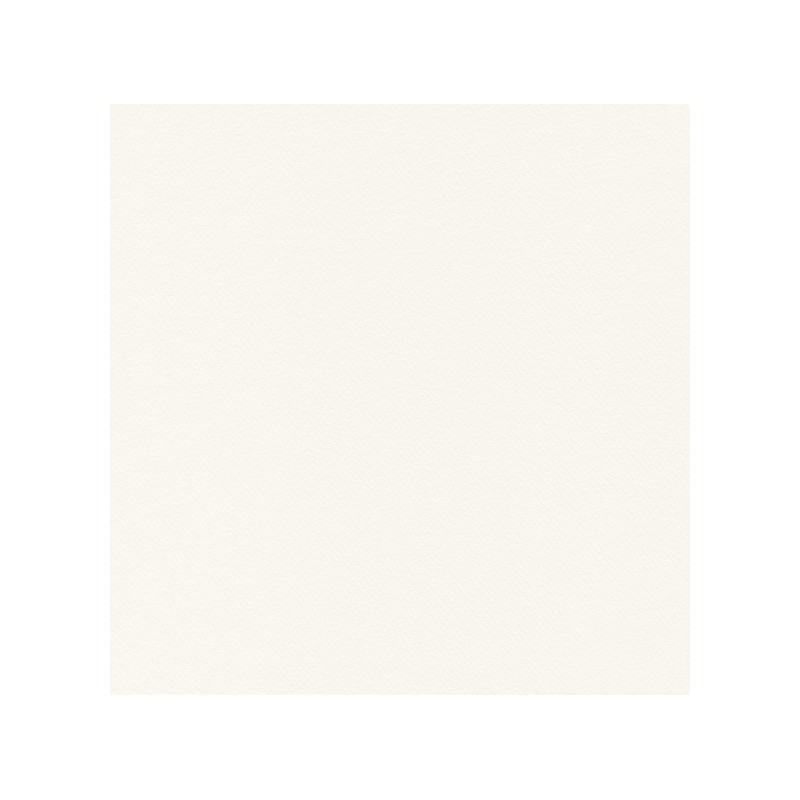 Tovagliolo Bianco 40 X 40  Pz.50