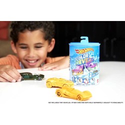 Hot Wheels - Color Reveal Confezione da 2 Veicoli in scala 1:64, Macchinine Cambia Colore, Giocattolo per Bambini 3+Anni, GYP13