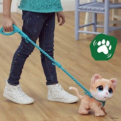 Hasbro - FurReal Walkalots-Gattino Peluche interattivo, Divertenti Suoni e andatura saltellante, Bambini dai 4 Anni in su, F1998