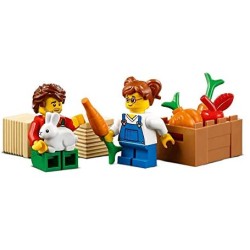 LEGO City Trattore Giocattolo, Playset Fattoria con Coniglio e Minifigure per Bambine e Bambini 5+ Anni, 60287